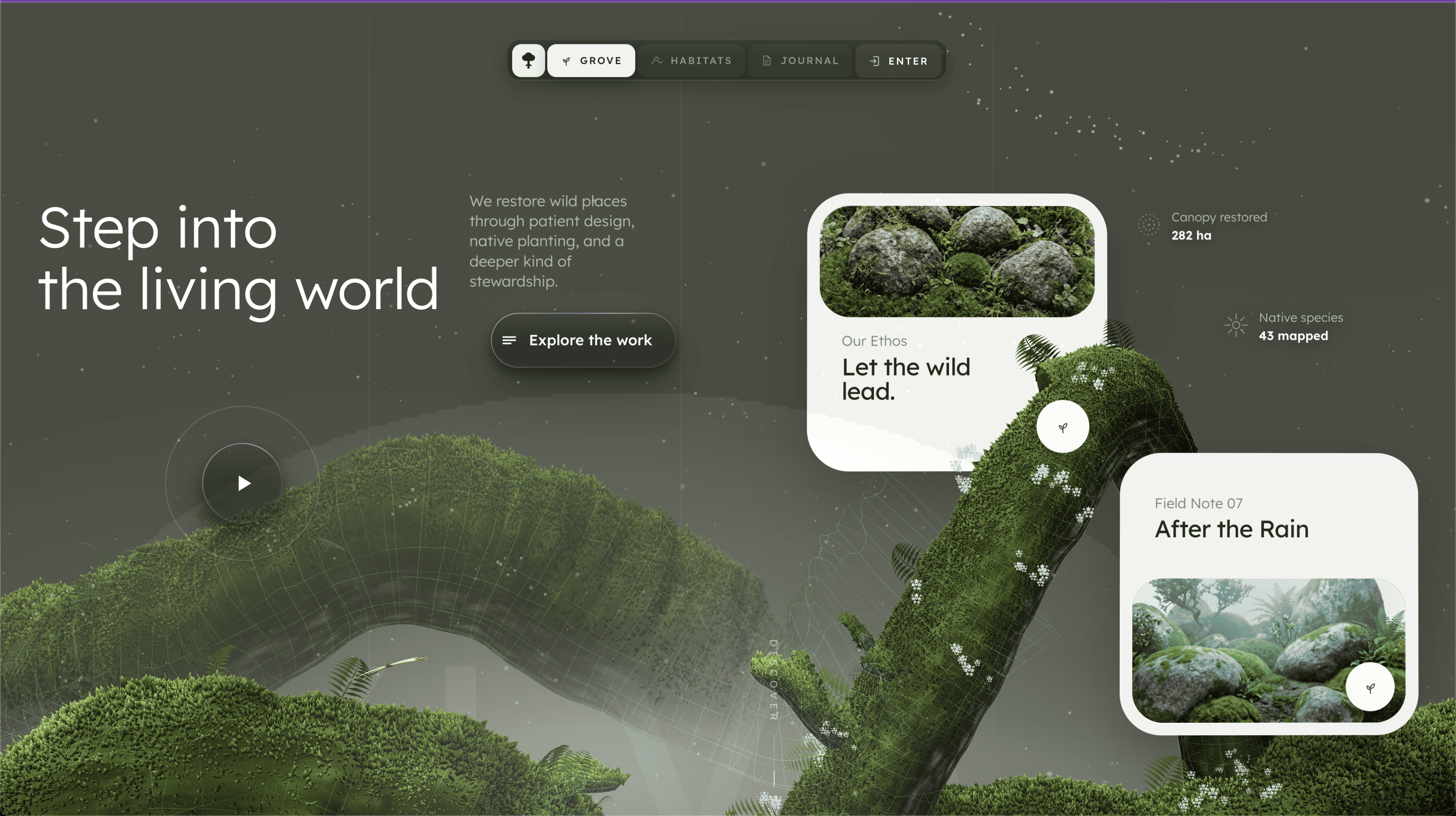Immersive 3D Interactive Template Jungle